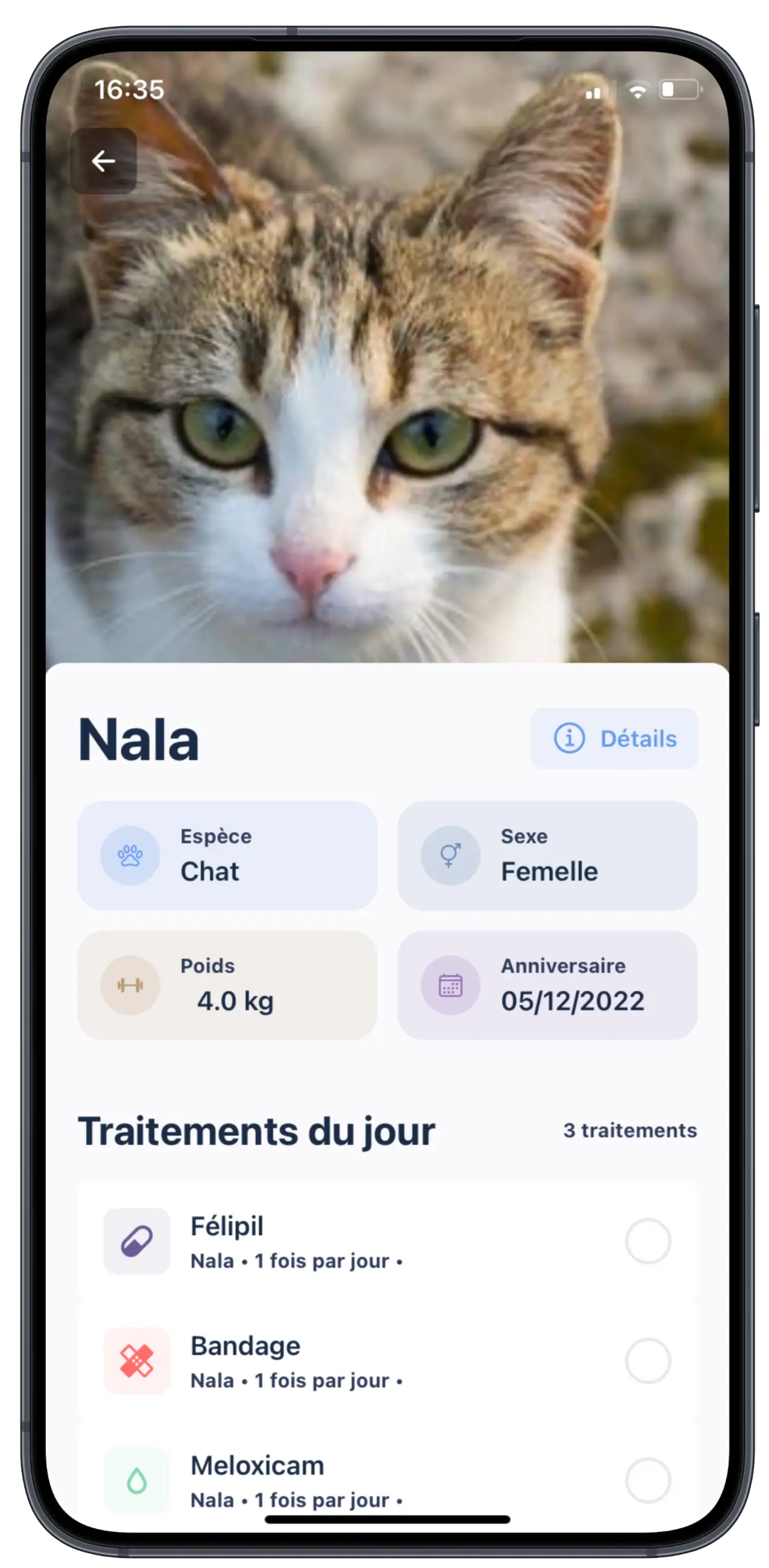 Carnet de Santé Digital interface